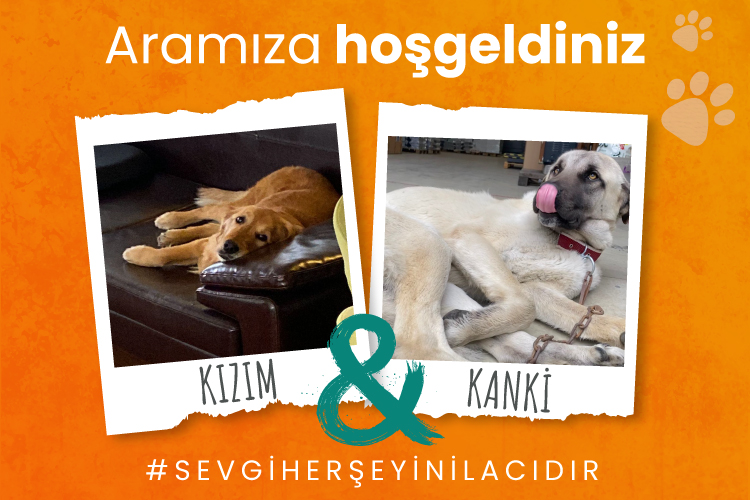 Çizgi Teknoloji Ailesine Hoş Geldiniz “KANKİ & KIZIM''